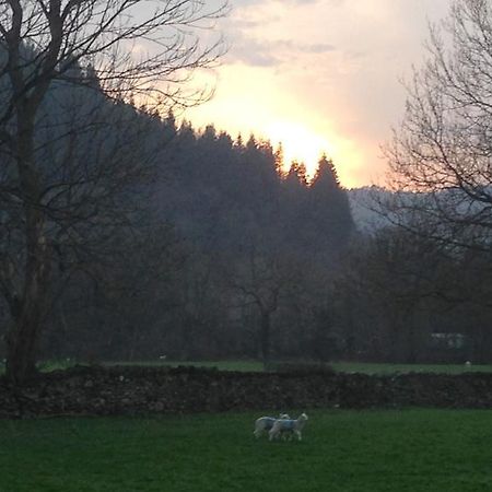 Tyddyn Bach Barn Villa Betws-y-Coed Room photo